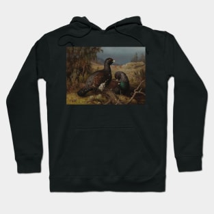 Capercaillie Cocks by Ferdinand von Wright Hoodie